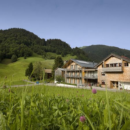 N Apartments Hotel Schoppernau Pokój zdjęcie