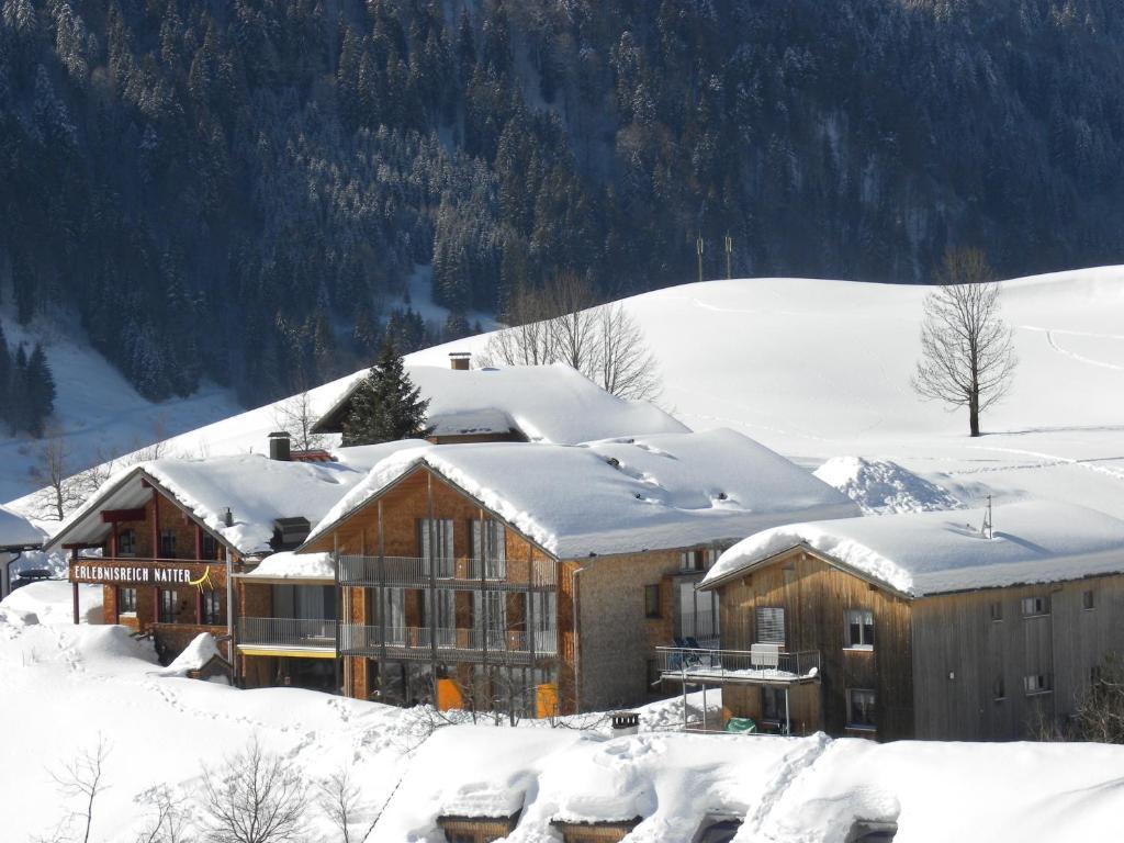 N Apartments Hotel Schoppernau Zewnętrze zdjęcie